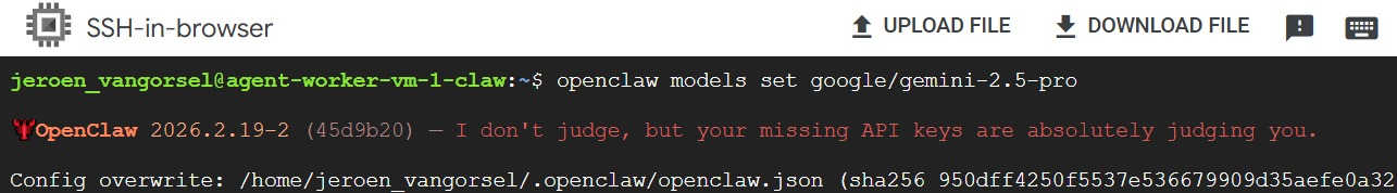 I hatched my first OpenClaw